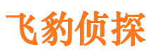 隆安婚外情调查